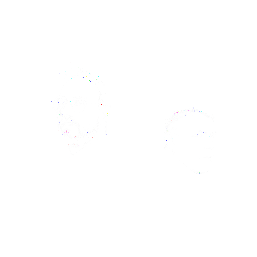 Portrait illustration of Kruithuis